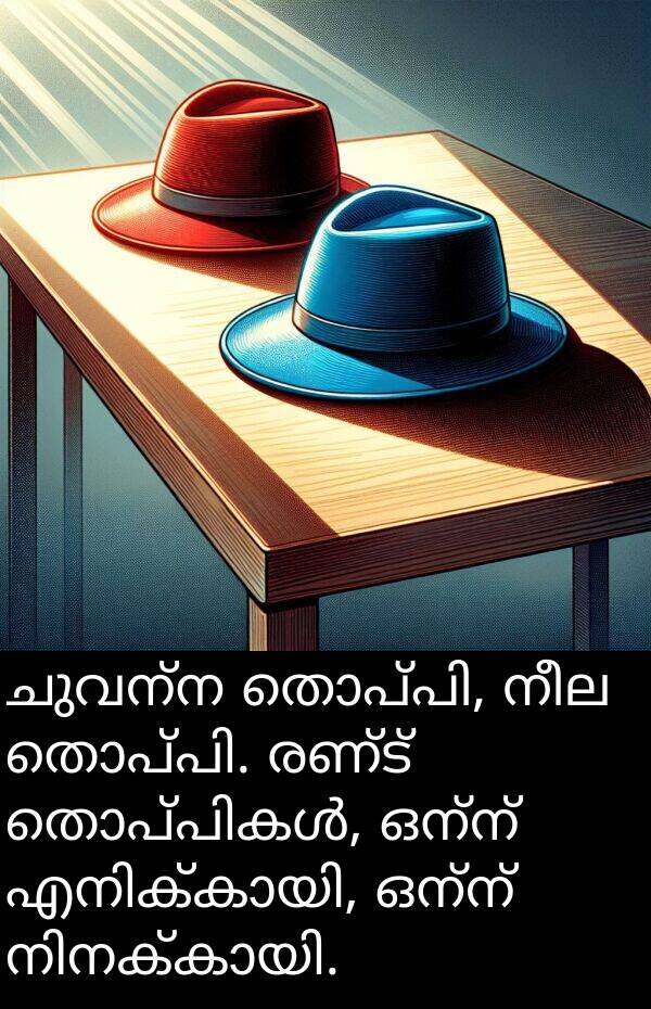 നീല: ചുവന്ന തൊപ്പി, നീല തൊപ്പി. രണ്ട് തൊപ്പികൾ, ഒന്ന് എനിക്കായി, ഒന്ന് നിനക്കായി.