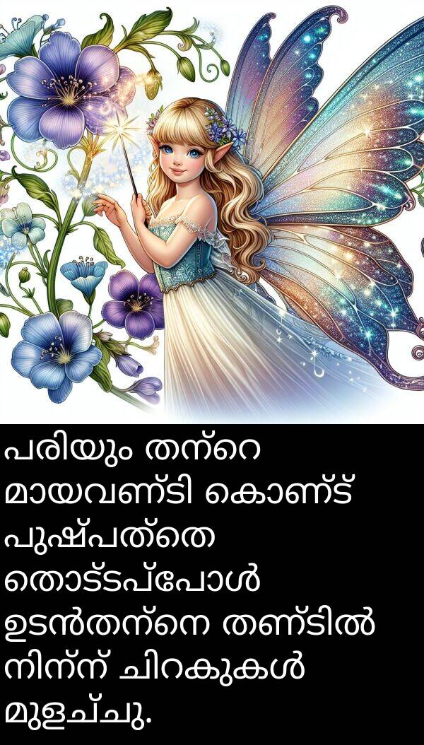 കൊണ്ട്: പരിയും തന്റെ മായവണ്ടി കൊണ്ട് പുഷ്പത്തെ തൊട്ടപ്പോൾ ഉടൻതന്നെ തണ്ടിൽ നിന്ന് ചിറകുകൾ മുളച്ചു.