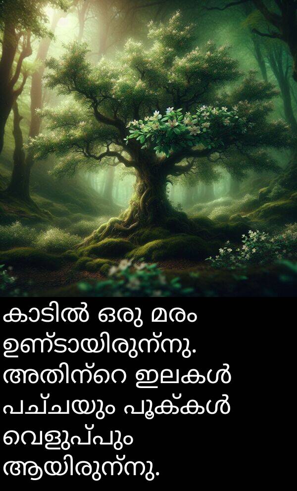 വെളുപ്പും: കാടിൽ ഒരു മരം ഉണ്ടായിരുന്നു. അതിന്റെ ഇലകൾ പച്ചയും പൂക്കൾ വെളുപ്പും ആയിരുന്നു.