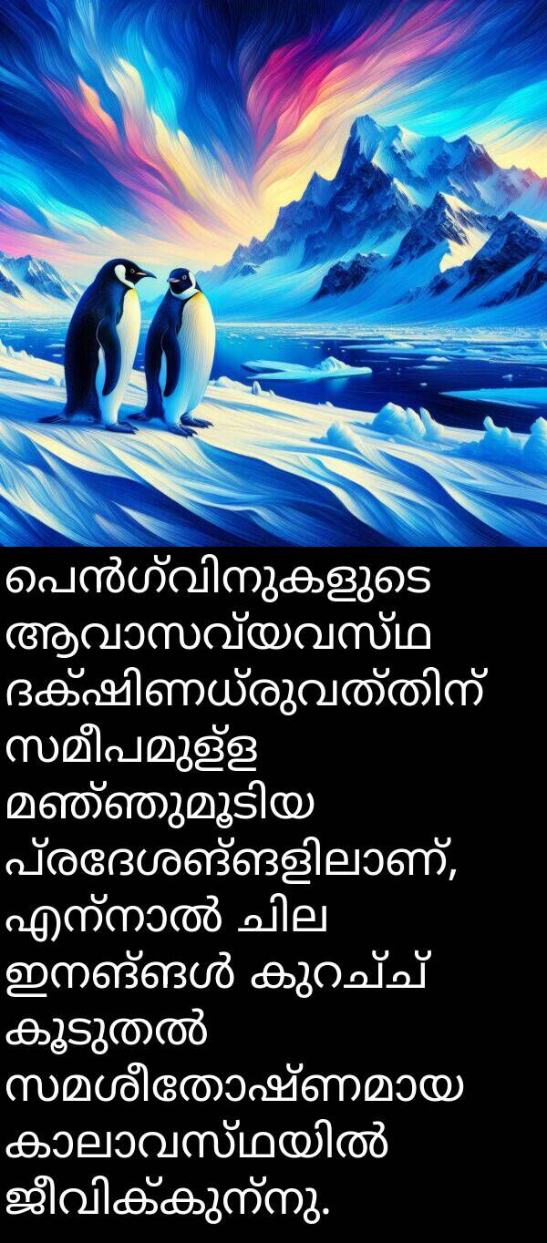 സമീപമുള്ള: പെൻഗ്വിനുകളുടെ ആവാസവ്യവസ്ഥ ദക്ഷിണധ്രുവത്തിന് സമീപമുള്ള മഞ്ഞുമൂടിയ പ്രദേശങ്ങളിലാണ്, എന്നാൽ ചില ഇനങ്ങൾ കുറച്ച് കൂടുതൽ സമശീതോഷ്ണമായ കാലാവസ്ഥയിൽ ജീവിക്കുന്നു.