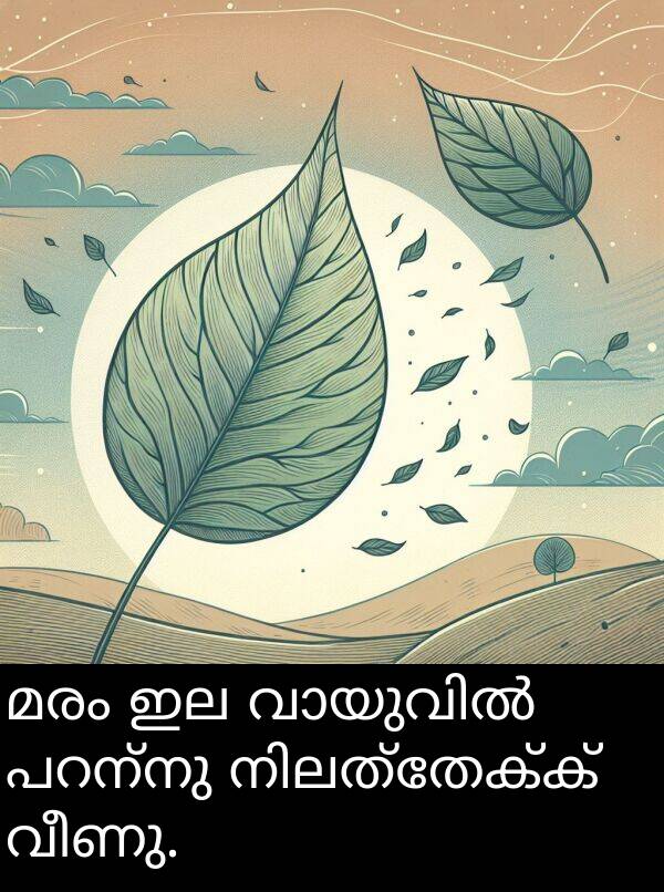 വീണു: മരം ഇല വായുവിൽ പറന്നു നിലത്തേക്ക് വീണു.