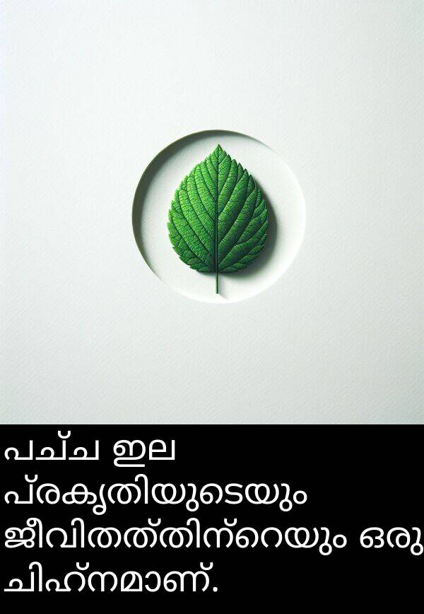 പച്ച: പച്ച ഇല പ്രകൃതിയുടെയും ജീവിതത്തിന്റെയും ഒരു ചിഹ്നമാണ്.