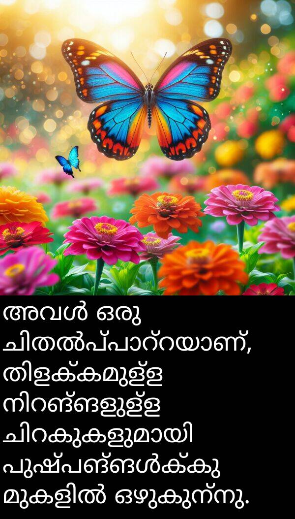 ഒഴുകുന്നു: അവൾ ഒരു ചിതൽപ്പാറ്റയാണ്, തിളക്കമുള്ള നിറങ്ങളുള്ള ചിറകുകളുമായി പുഷ്പങ്ങൾക്കു മുകളിൽ ഒഴുകുന്നു.