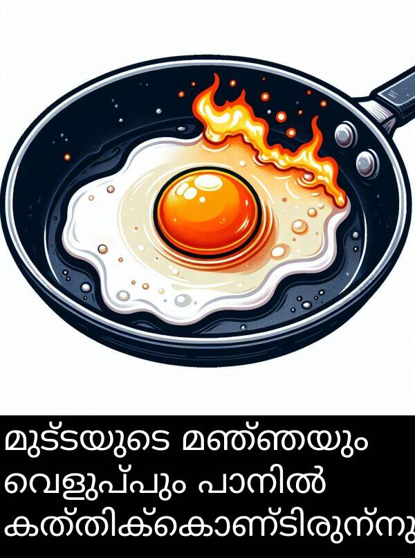 വെളുപ്പും: മുട്ടയുടെ മഞ്ഞയും വെളുപ്പും പാനിൽ കത്തിക്കൊണ്ടിരുന്നു.