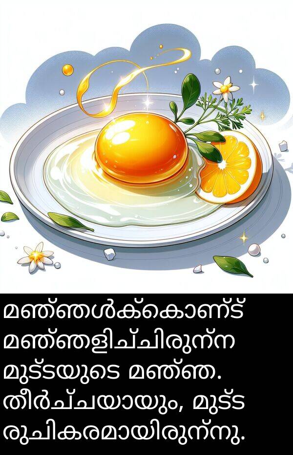 മുട്ടയുടെ: മഞ്ഞൾക്കൊണ്ട് മഞ്ഞളിച്ചിരുന്ന മുട്ടയുടെ മഞ്ഞ. തീർച്ചയായും, മുട്ട രുചികരമായിരുന്നു.