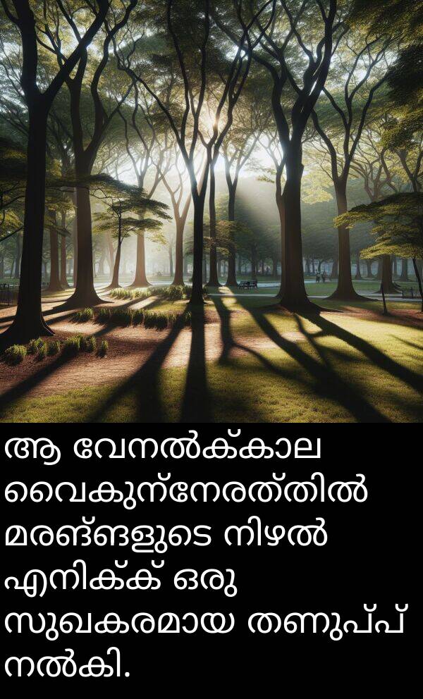 തണുപ്പ്: ആ വേനൽക്കാല വൈകുന്നേരത്തിൽ മരങ്ങളുടെ നിഴൽ എനിക്ക് ഒരു സുഖകരമായ തണുപ്പ് നൽകി.