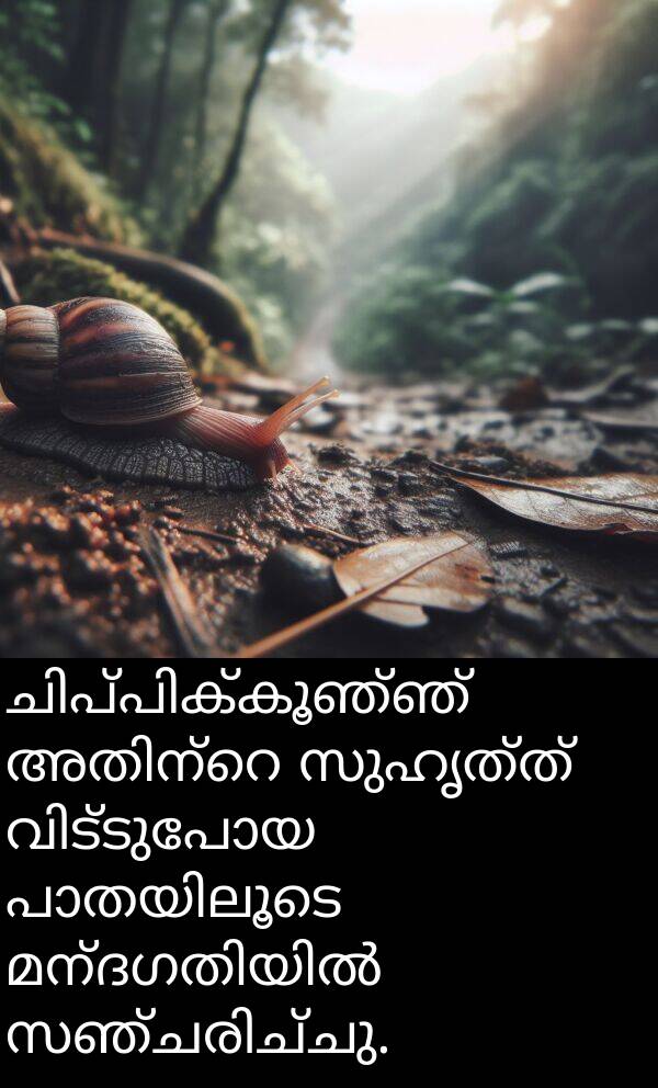 സുഹൃത്ത്: ചിപ്പിക്കൂഞ്ഞ് അതിന്റെ സുഹൃത്ത് വിട്ടുപോയ പാതയിലൂടെ മന്ദഗതിയിൽ സഞ്ചരിച്ചു.