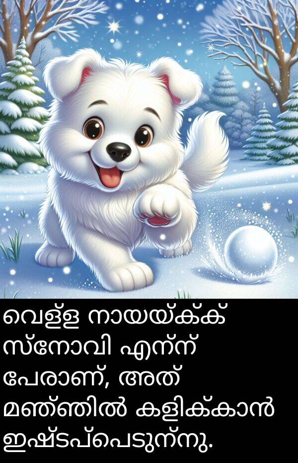 വെള്ള: വെള്ള നായയ്ക്ക് സ്നോവി എന്ന് പേരാണ്, അത് മഞ്ഞിൽ കളിക്കാൻ ഇഷ്ടപ്പെടുന്നു.