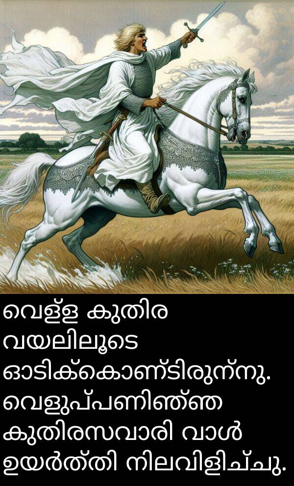 വെള്ള: വെള്ള കുതിര വയലിലൂടെ ഓടിക്കൊണ്ടിരുന്നു. വെളുപ്പണിഞ്ഞ കുതിരസവാരി വാൾ ഉയർത്തി നിലവിളിച്ചു.