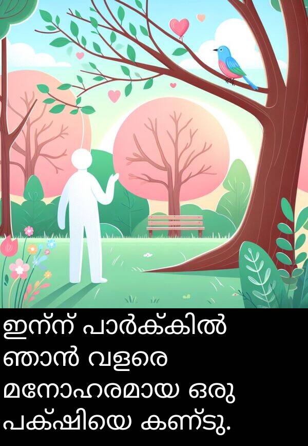 ഇന്ന്: ഇന്ന് പാർക്കിൽ ഞാൻ വളരെ മനോഹരമായ ഒരു പക്ഷിയെ കണ്ടു.