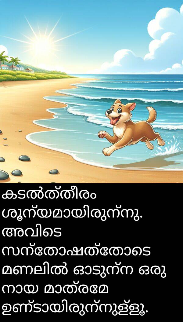 സന്തോഷത്തോടെ: കടൽത്തീരം ശൂന്യമായിരുന്നു. അവിടെ സന്തോഷത്തോടെ മണലിൽ ഓടുന്ന ഒരു നായ മാത്രമേ ഉണ്ടായിരുന്നുള്ളൂ.