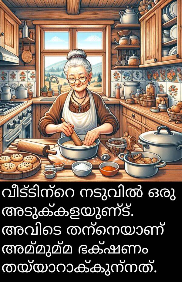 അമ്മുമ്മ: വീട്ടിന്റെ നടുവിൽ ഒരു അടുക്കളയുണ്ട്. അവിടെ തന്നെയാണ് അമ്മുമ്മ ഭക്ഷണം തയ്യാറാക്കുന്നത്.