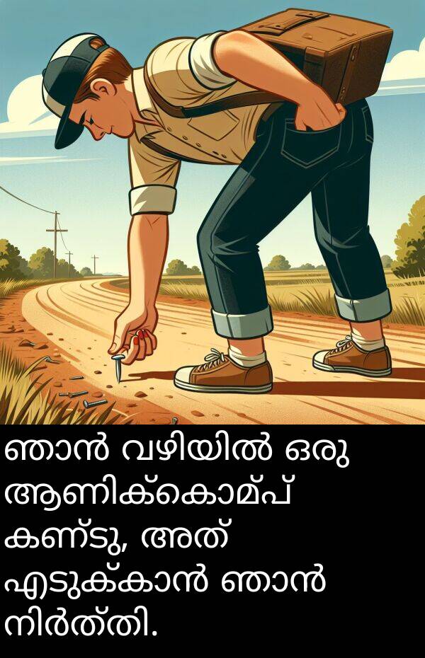 കണ്ടു: ഞാൻ വഴിയിൽ ഒരു ആണിക്കൊമ്പ് കണ്ടു, അത് എടുക്കാൻ ഞാൻ നിർത്തി.