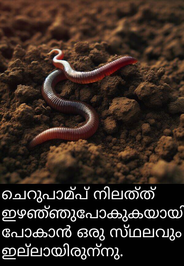 സ്ഥലവും: ചെറുപാമ്പ് നിലത്ത് ഇഴഞ്ഞുപോകുകയായിരുന്നു. പോകാൻ ഒരു സ്ഥലവും ഇല്ലായിരുന്നു.