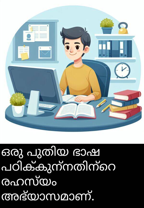 രഹസ്യം: ഒരു പുതിയ ഭാഷ പഠിക്കുന്നതിന്റെ രഹസ്യം അഭ്യാസമാണ്.