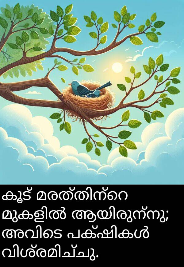 കൂട്: കൂട് മരത്തിന്റെ മുകളിൽ ആയിരുന്നു; അവിടെ പക്ഷികൾ വിശ്രമിച്ചു.