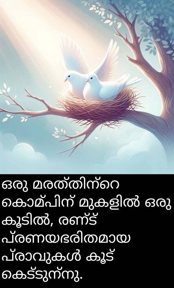 രണ്ട്: ഒരു മരത്തിന്റെ കൊമ്പിന് മുകളിൽ ഒരു കൂടിൽ, രണ്ട് പ്രണയഭരിതമായ പ്രാവുകൾ കൂട് കെട്ടുന്നു.