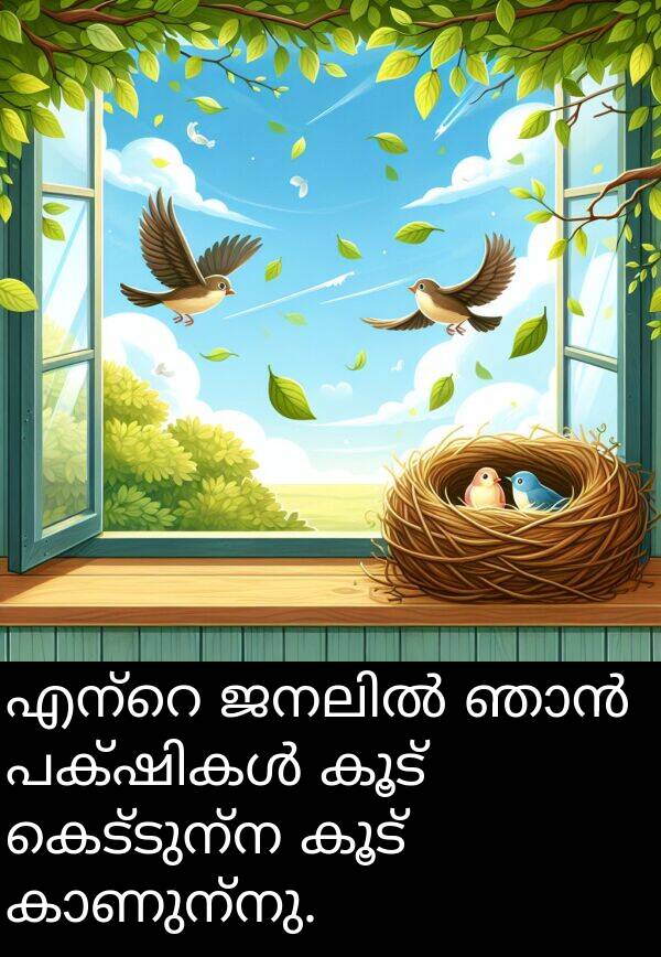 കെട്ടുന്ന: എന്റെ ജനലിൽ ഞാൻ പക്ഷികൾ കൂട് കെട്ടുന്ന കൂട് കാണുന്നു.