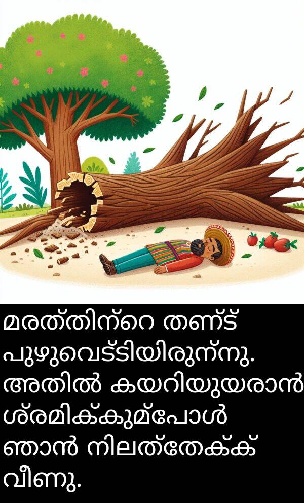 വീണു: മരത്തിന്റെ തണ്ട് പുഴുവെട്ടിയിരുന്നു. അതിൽ കയറിയുയരാൻ ശ്രമിക്കുമ്പോൾ ഞാൻ നിലത്തേക്ക് വീണു.