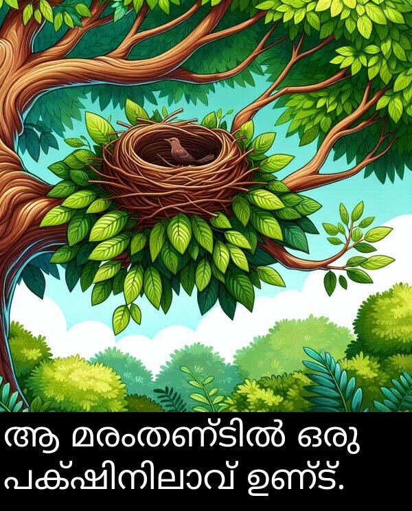 ഉണ്ട്: ആ മരംതണ്ടിൽ ഒരു പക്ഷിനിലാവ് ഉണ്ട്.