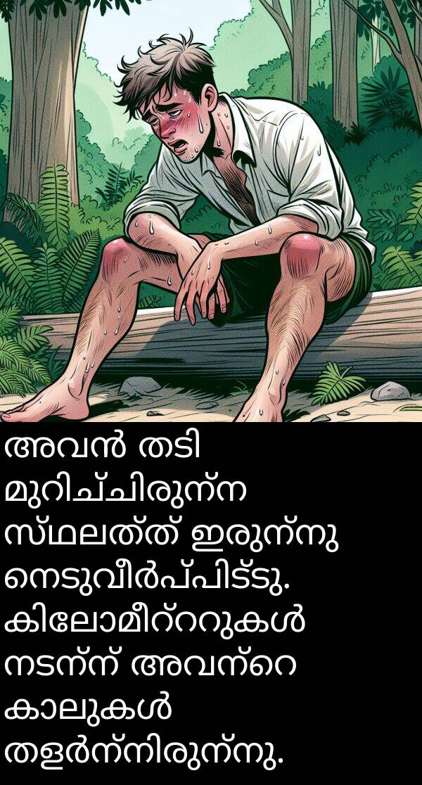 നടന്ന്: അവൻ തടി മുറിച്ചിരുന്ന സ്ഥലത്ത് ഇരുന്നു നെടുവീർപ്പിട്ടു. കിലോമീറ്ററുകൾ നടന്ന് അവന്റെ കാലുകൾ തളർന്നിരുന്നു.