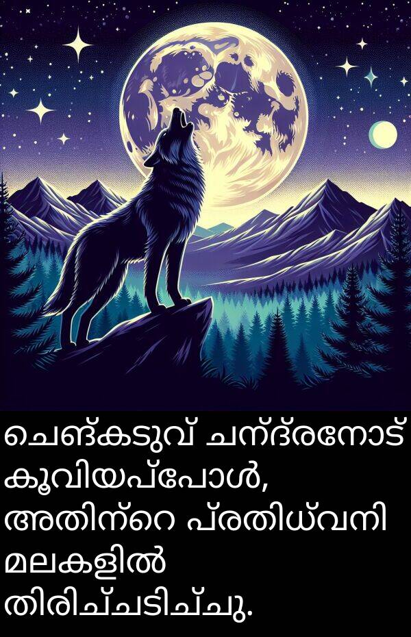 ചെങ്കടുവ്: ചെങ്കടുവ് ചന്ദ്രനോട് കൂവിയപ്പോൾ, അതിന്റെ പ്രതിധ്വനി മലകളിൽ തിരിച്ചടിച്ചു.