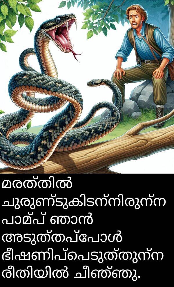 ചീഞ്ഞു: മരത്തിൽ ചുരുണ്ടുകിടന്നിരുന്ന പാമ്പ് ഞാൻ അടുത്തപ്പോൾ ഭീഷണിപ്പെടുത്തുന്ന രീതിയിൽ ചീഞ്ഞു.