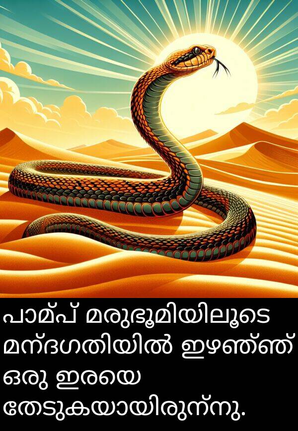 ഇഴഞ്ഞ്: പാമ്പ് മരുഭൂമിയിലൂടെ മന്ദഗതിയിൽ ഇഴഞ്ഞ് ഒരു ഇരയെ തേടുകയായിരുന്നു.