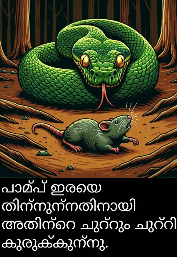 കുരുക്കുന്നു: പാമ്പ് ഇരയെ തിന്നുന്നതിനായി അതിന്റെ ചുറ്റും ചുറ്റി കുരുക്കുന്നു.