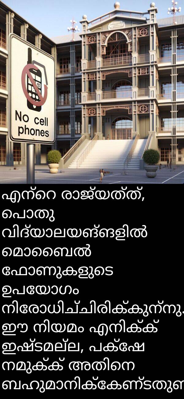 നമുക്ക്: എന്റെ രാജ്യത്ത്, പൊതു വിദ്യാലയങ്ങളിൽ മൊബൈൽ ഫോണുകളുടെ ഉപയോഗം നിരോധിച്ചിരിക്കുന്നു. ഈ നിയമം എനിക്ക് ഇഷ്ടമല്ല, പക്ഷേ നമുക്ക് അതിനെ ബഹുമാനിക്കേണ്ടതുണ്ട്.