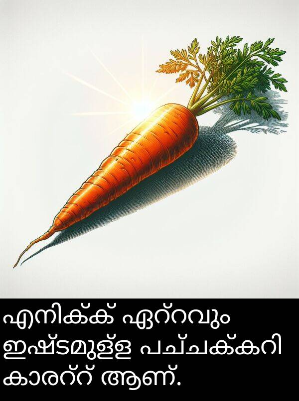 ആണ്: എനിക്ക് ഏറ്റവും ഇഷ്ടമുള്ള പച്ചക്കറി കാരറ്റ് ആണ്.