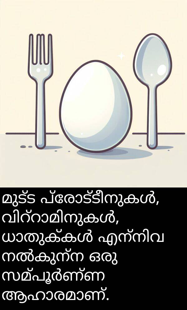 മുട്ട: മുട്ട പ്രോട്ടീനുകൾ, വിറ്റാമിനുകൾ, ധാതുക്കൾ എന്നിവ നൽകുന്ന ഒരു സമ്പൂർണ്ണ ആഹാരമാണ്.