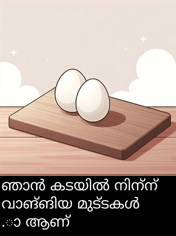 ആണ്: ഞാൻ കടയിൽ നിന്ന് വാങ്ങിയ മുട്ടകൾ تازാ ആണ്.