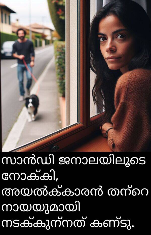 നടക്കുന്നത്: സാൻഡി ജനാലയിലൂടെ നോക്കി, അയൽക്കാരൻ തന്റെ നായയുമായി നടക്കുന്നത് കണ്ടു.