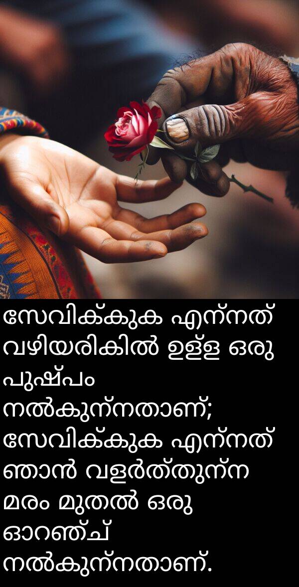 മരം: സേവിക്കുക എന്നത് വഴിയരികിൽ ഉള്ള ഒരു പുഷ്പം നൽകുന്നതാണ്; സേവിക്കുക എന്നത് ഞാൻ വളർത്തുന്ന മരം മുതൽ ഒരു ഓറഞ്ച് നൽകുന്നതാണ്.