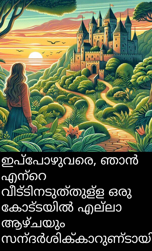 ആഴ്ചയും: ഇപ്പോഴുവരെ, ഞാൻ എന്റെ വീട്ടിനടുത്തുള്ള ഒരു കോട്ടയിൽ എല്ലാ ആഴ്ചയും സന്ദർശിക്കാറുണ്ടായിരുന്നു.
