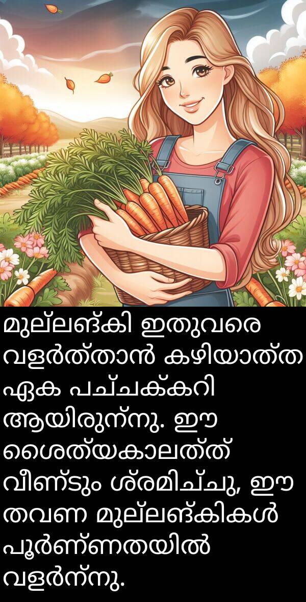 വീണ്ടും: മുല്ലങ്കി ഇതുവരെ വളർത്താൻ കഴിയാത്ത ഏക പച്ചക്കറി ആയിരുന്നു. ഈ ശൈത്യകാലത്ത് വീണ്ടും ശ്രമിച്ചു, ഈ തവണ മുല്ലങ്കികൾ പൂർണ്ണതയിൽ വളർന്നു.