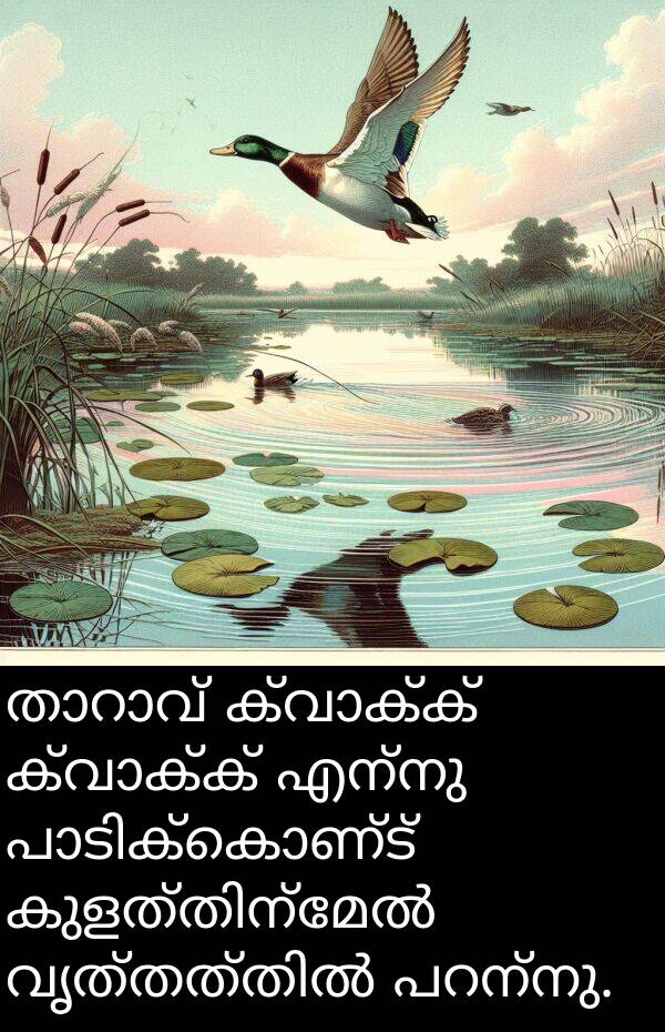 എന്നു: താറാവ് ക്വാക്ക് ക്വാക്ക് എന്നു പാടിക്കൊണ്ട് കുളത്തിന്മേൽ വൃത്തത്തിൽ പറന്നു.