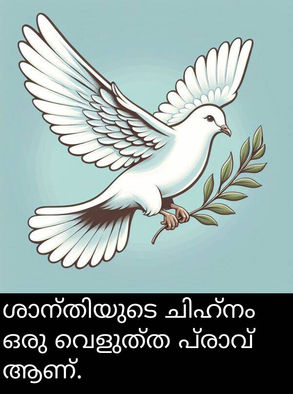 വെളുത്ത: ശാന്തിയുടെ ചിഹ്നം ഒരു വെളുത്ത പ്രാവ് ആണ്.