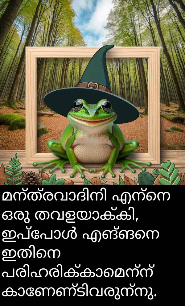 എങ്ങനെ: മന്ത്രവാദിനി എന്നെ ഒരു തവളയാക്കി, ഇപ്പോൾ എങ്ങനെ ഇതിനെ പരിഹരിക്കാമെന്ന് കാണേണ്ടിവരുന്നു.