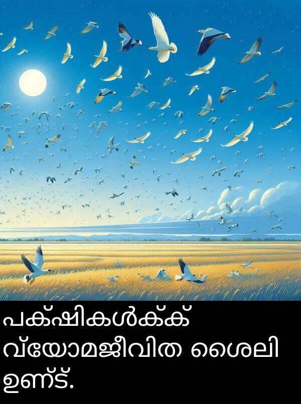 ഉണ്ട്: പക്ഷികൾക്ക് വ്യോമജീവിത ശൈലി ഉണ്ട്.