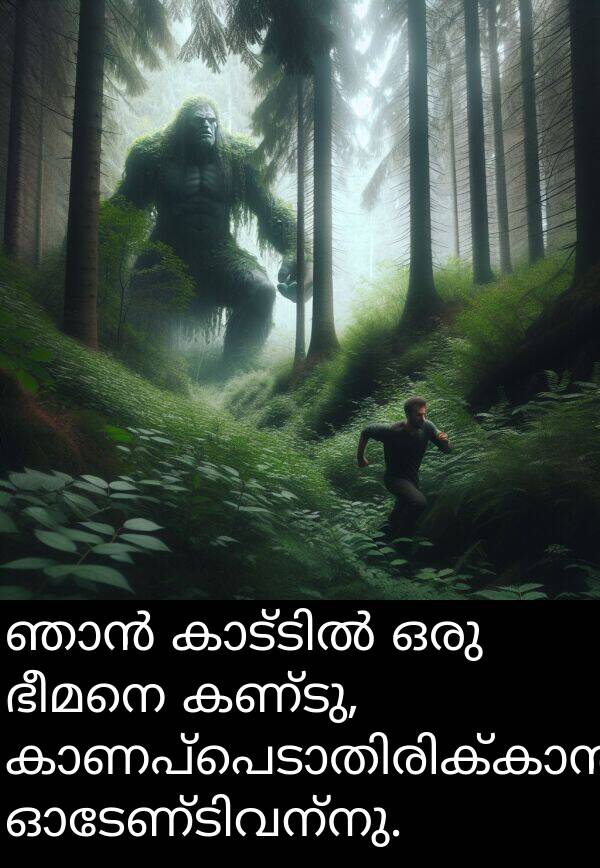 കണ്ടു: ഞാൻ കാട്ടിൽ ഒരു ഭീമനെ കണ്ടു, കാണപ്പെടാതിരിക്കാൻ ഓടേണ്ടിവന്നു.