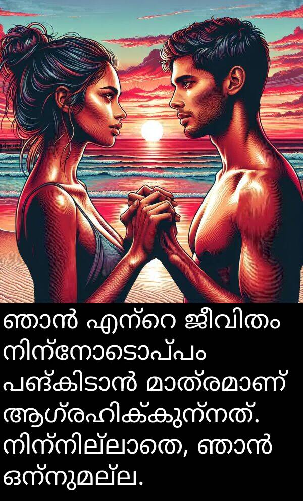 ഒന്നുമല്ല: ഞാൻ എന്റെ ജീവിതം നിന്നോടൊപ്പം പങ്കിടാൻ മാത്രമാണ് ആഗ്രഹിക്കുന്നത്. നിന്നില്ലാതെ, ഞാൻ ഒന്നുമല്ല.