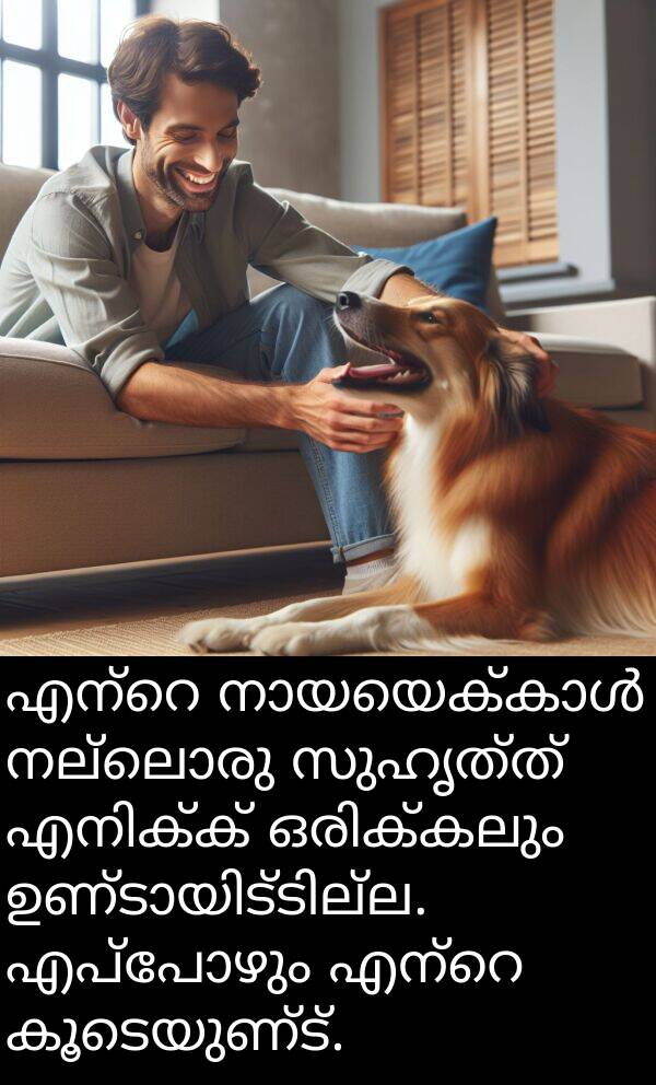 നല്ലൊരു: എന്റെ നായയെക്കാൾ നല്ലൊരു സുഹൃത്ത് എനിക്ക് ഒരിക്കലും ഉണ്ടായിട്ടില്ല. എപ്പോഴും എന്റെ കൂടെയുണ്ട്.
