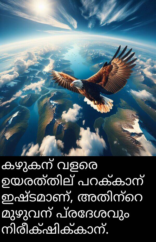 പ്രദേശവും: കഴുകന് വളരെ ഉയരത്തില് പറക്കാന് ഇഷ്ടമാണ്, അതിന്റെ മുഴുവന് പ്രദേശവും നിരീക്ഷിക്കാന്.