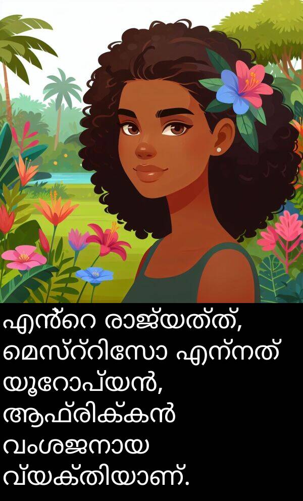 എന്നത്: എൻ്റെ രാജ്യത്ത്, മെസ്റ്റിസോ എന്നത് യൂറോപ്യൻ, ആഫ്രിക്കൻ വംശജനായ വ്യക്തിയാണ്.