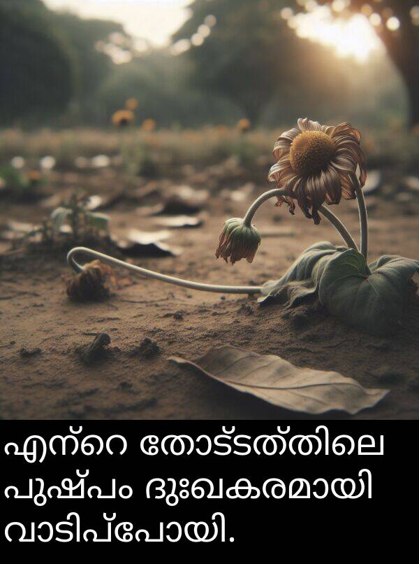 പുഷ്പം: എന്റെ തോട്ടത്തിലെ പുഷ്പം ദുഃഖകരമായി വാടിപ്പോയി.