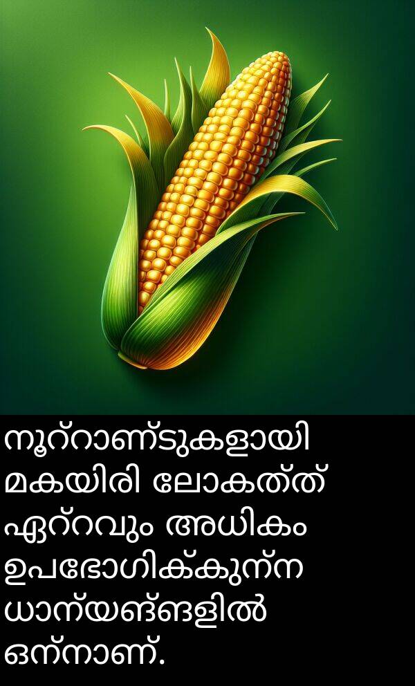 ലോകത്ത്: നൂറ്റാണ്ടുകളായി മകയിരി ലോകത്ത് ഏറ്റവും അധികം ഉപഭോഗിക്കുന്ന ധാന്യങ്ങളിൽ ഒന്നാണ്.