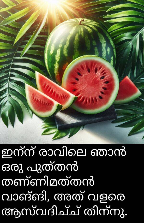 ഇന്ന്: ഇന്ന് രാവിലെ ഞാൻ ഒരു പുത്തൻ തണ്ണിമത്തൻ വാങ്ങി, അത് വളരെ ആസ്വദിച്ച് തിന്നു.