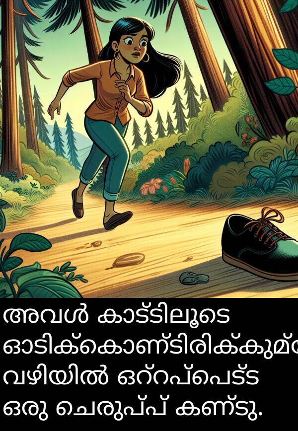 ചെരുപ്പ്: അവൾ കാട്ടിലൂടെ ഓടിക്കൊണ്ടിരിക്കുമ്പോൾ വഴിയിൽ ഒറ്റപ്പെട്ട ഒരു ചെരുപ്പ് കണ്ടു.